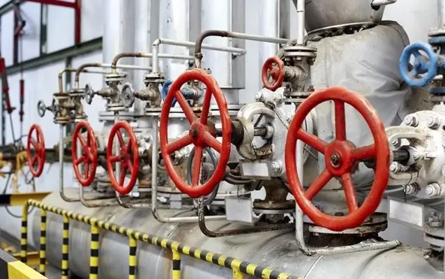 Hinh anh cac loai van trong duong ong