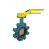 Thesis butterfly valve Pegoraro Gas Technologies