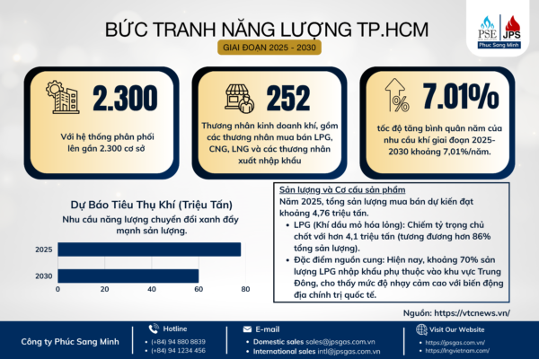 The Overview of the Gas Sector in Ho Chi Minh City