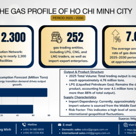 The Overview of the Gas Sector in Ho Chi Minh City